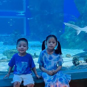 Meet your Posher, Van